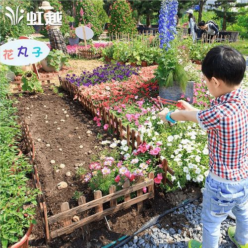 怎么把園藝的樂(lè)趣播種到孩子心里 他們發(fā)明了