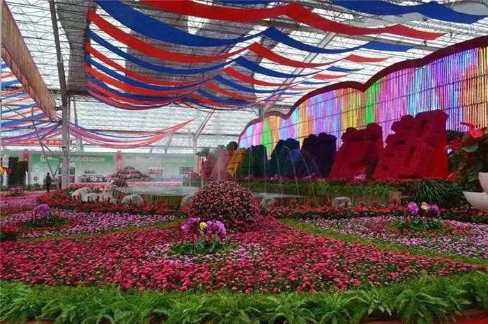 東商網(wǎng) 產(chǎn)品信息 其它 其它 > 青州皓旭花卉(圖)-時(shí)令草花-東莞草花