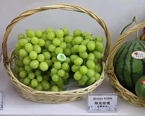 移動(dòng)果園 走入老百姓家中