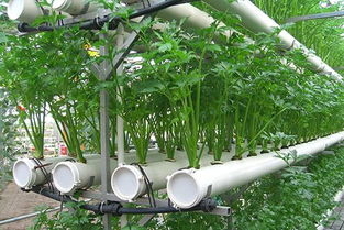 一撕得拉鏈紙箱強拆紙箱和膠帶這對好基友