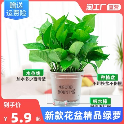 當前網購流行產品