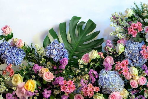 元旦跨年,這幾種花適合送給你心中那個她