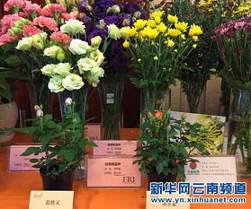 科技創新助 云花 絢麗綻放