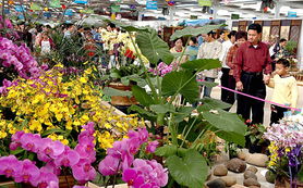 第六屆海峽兩岸 福建漳州 花卉博覽會