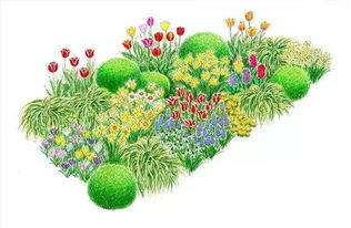 100張世界級花鏡大師的手繪作品,以后家里的植物就這么搭配了