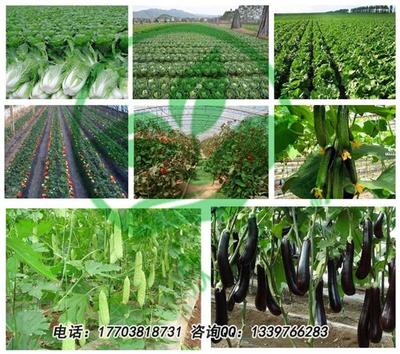 花卉苗圃疏松土壤用什么產品好