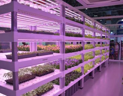 中科三安植物夢工廠 都市田園夢的締造者
