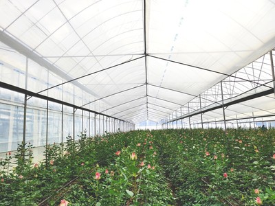 聚焦第二十一屆昆明國際花卉展,雷馬農膜為花卉產業發展賦能