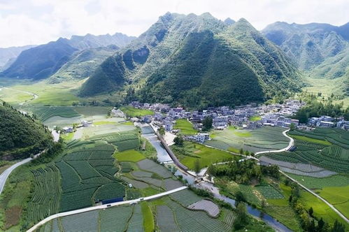 辛巴 幫扶外貿企業 休戚與共,貴州農旅融合 融 出鄉村振興新局面