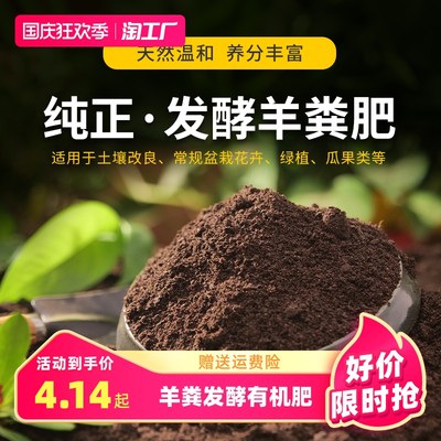 當前網購流行產品