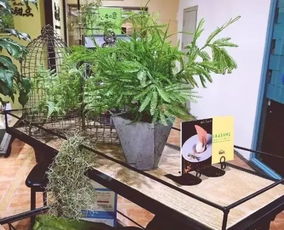 天津這8家又仙又美的鮮花餐廳,實力撩胃又撩妹
