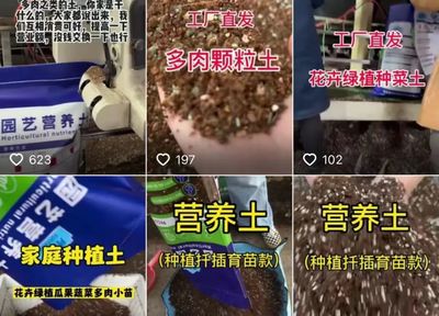 我在抖音賣牛糞,年入百萬