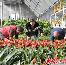 杜保東 發展花卉種植業 種出錦繡 錢 程