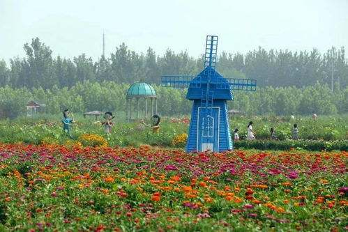 十一去哪兒 國慶假期帶你霸屏朋友圈,快來打卡城市副中心這16個網紅地