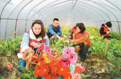 滯銷鮮花 有主 啦
