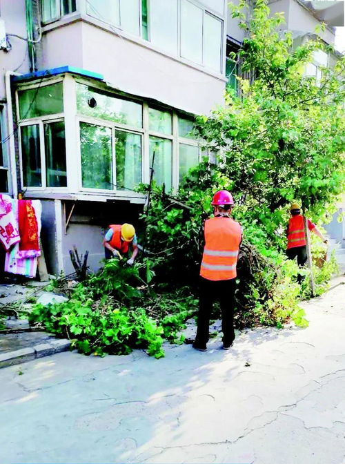 前進路北社區 綠化帶藏污納垢,集中清理