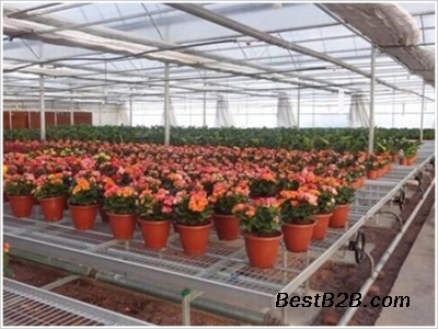 湛江花卉育苗設備-養花移動苗床-廠家品質可靠