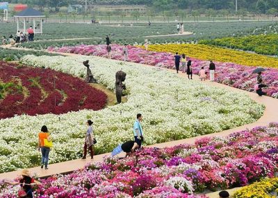花卉旅游的六類體驗產品