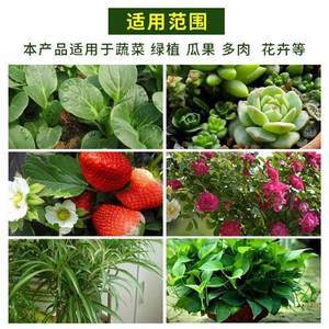 【泥土種植土養花多肉價格】最新泥土種植土養花多肉