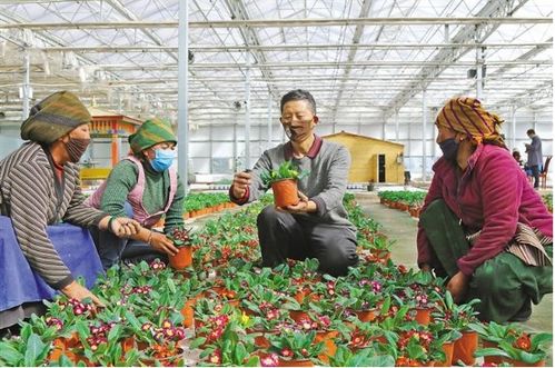 拉薩文明網