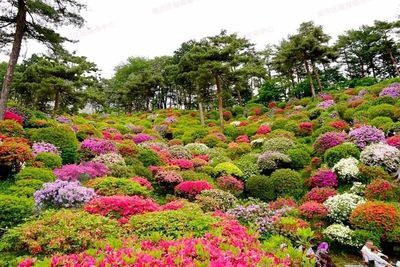 等到7月,游南川又有了新去處!