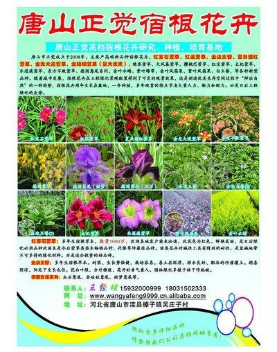 園林 花卉圖片