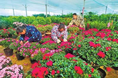 人勤春來早